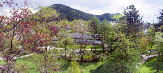 Wunderschöne Blick in den Kurpark Willingen