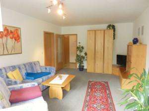 Wohnzimmer Ferienwohnung Willingen Sauerland